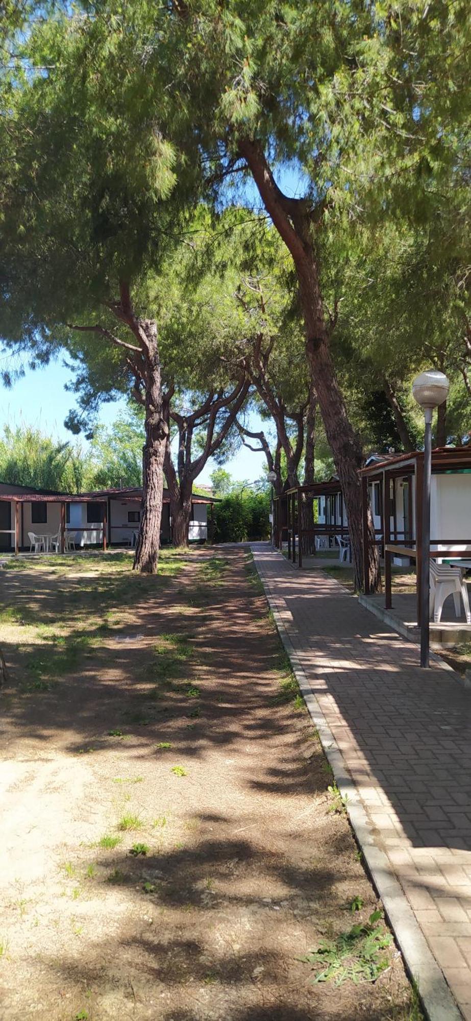 Villaggio Costa D'argento 3*
